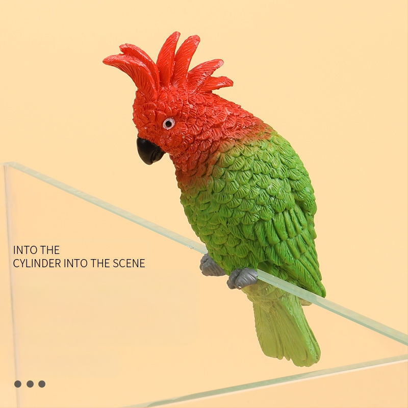 Akvariumo peizažas, katės kuprinė, akvariumo šoniniai pakabinami papuošalai, akvariumo stalas