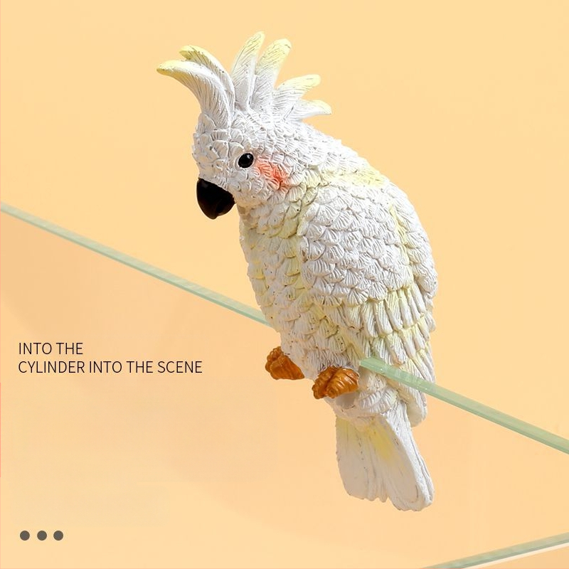 Akvariumo peizažas, katės kuprinė, akvariumo šoniniai pakabinami papuošalai, akvariumo stalas