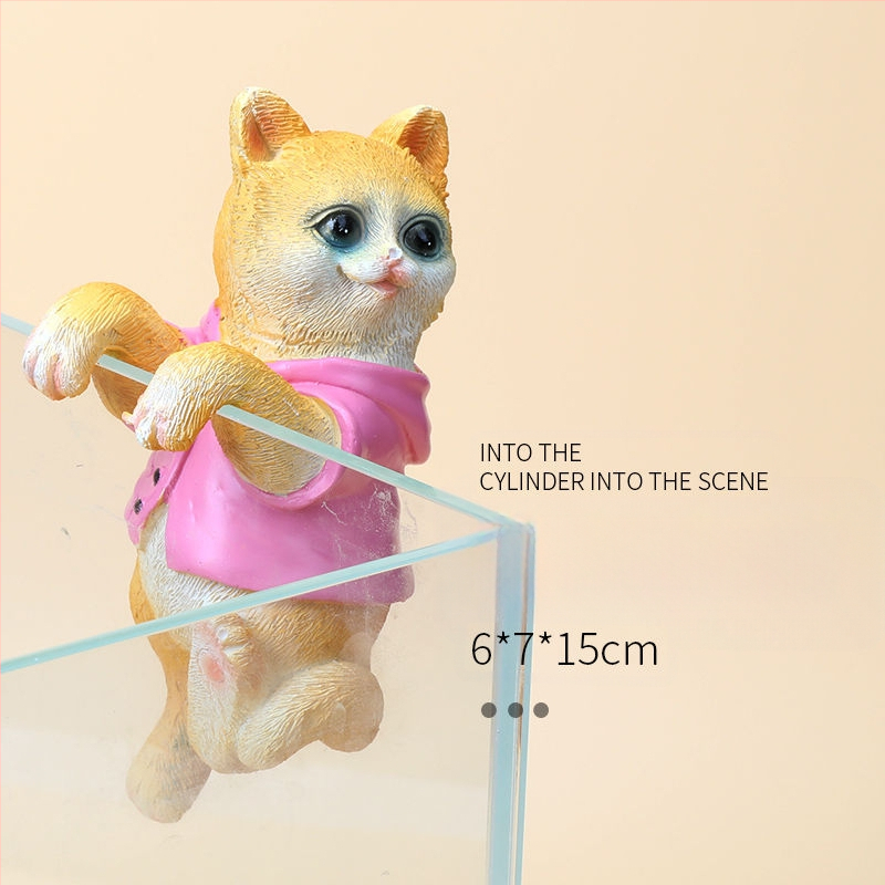 Akvariumo peizažas, katės kuprinė, akvariumo šoniniai pakabinami papuošalai, akvariumo stalas