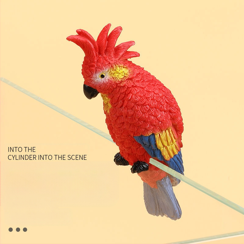 Akvariumo peizažas, katės kuprinė, akvariumo šoniniai pakabinami papuošalai, akvariumo stalas