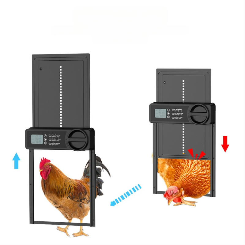 Kanamaja uks Elektriline ajastusega lemmikloomauks Nutikas kanauks Pigistamisvastane Amazon Piiriülene kuummüük Loominguline lemmikloomatarbed