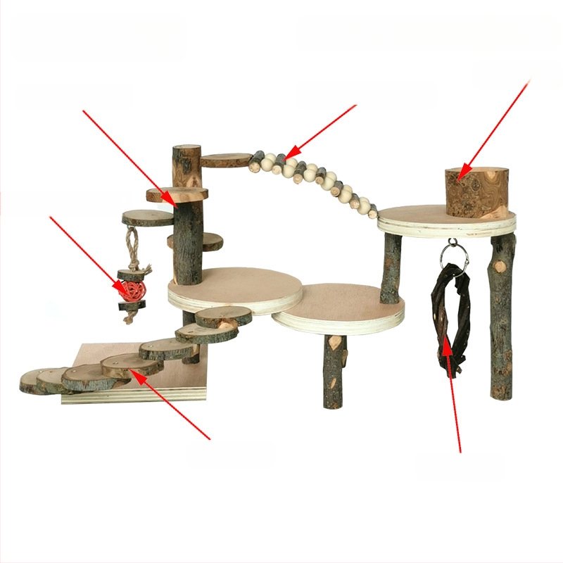 Tarpvalstybinis Amazonės žiurkėno žaislas, obuolių medienos laipiojimo kopėčios, žiurkėno narvas, peizažas, medinė platforma, pabėgimo molinis žaislas