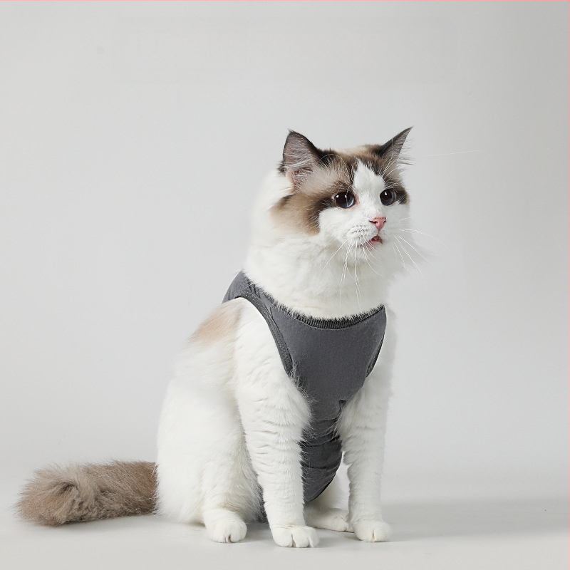 Διασυνοριακά ρούχα αποστείρωσης κατοικίδιων ζώων υψηλής ελαστικότητας, ειδικά ρούχα για μετεγχειρητική ανάρρωση από ιατρική περίθαλψη, ρούχα για γάτες και σκύλους, είδη κατοικίδιων ζώων