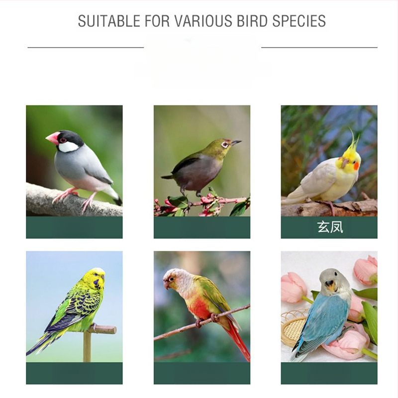 Prekogranično drveno ptičje gnijezdo zadebljana kućica za papige Pastoralna ekološki prihvatljiva vanjska kućica kavez za gnijezdo kućica za ptice kavez za ptice kućica za ptice