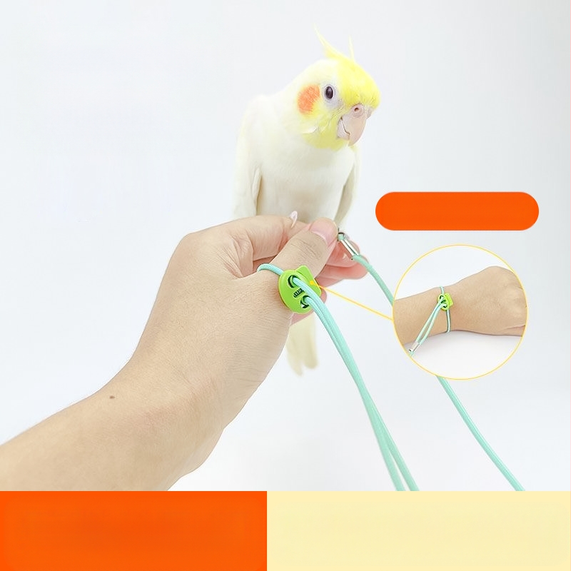 Uže za letenje papiga, elastično uže za stopala bez stopala, ultra lagani trening, Xuanfeng prsten za stopala od tigrove kože, božura, lanac za stopala, uže za hodanje ptica