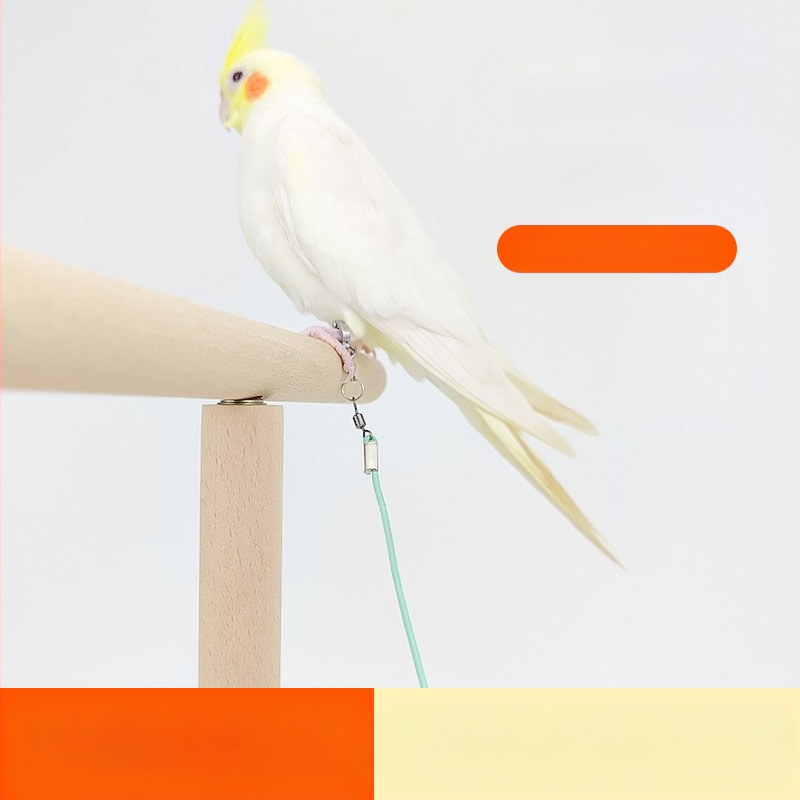 Uže za letenje papiga, elastično uže za stopala bez stopala, ultra lagani trening, Xuanfeng prsten za stopala od tigrove kože, božura, lanac za stopala, uže za hodanje ptica