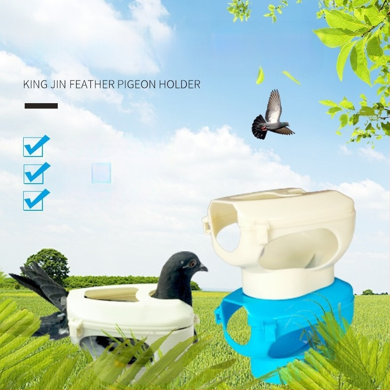 Echipament pentru porumbei Jinyu King, Suport pentru porumbei, Injectare pentru hrănire cu medicamente, Cadru de fixare a ochilor de porumbel pentru vizualizarea vaccinurilor, Sistem de legare a porumbeilor