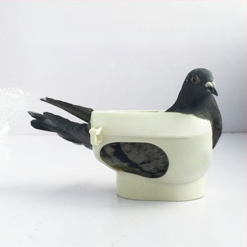 Echipament pentru porumbei Jinyu King, Suport pentru porumbei, Injectare pentru hrănire cu medicamente, Cadru de fixare a ochilor de porumbel pentru vizualizarea vaccinurilor, Sistem de legare a porumbeilor