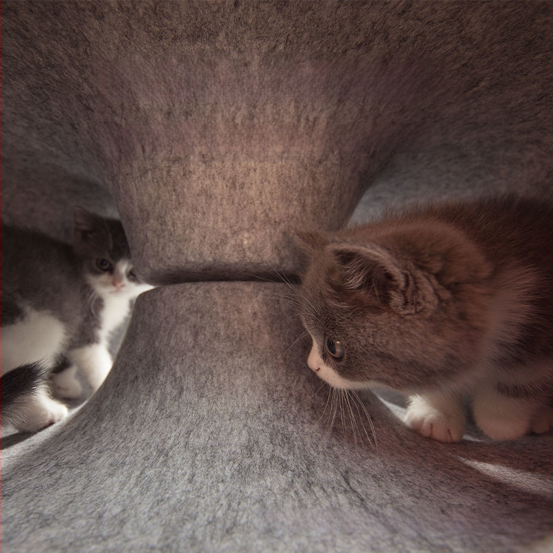 Filcano mačje gnijezdo, univerzalna mreža Four Seasons, crveni tunel za mačke s krafnom, poluzatvoreno, uklonjivo i perivo