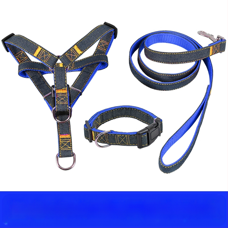 Koerarihm Suurtele Keskmistele Väikestele Koertele Kett Koerakaelarihm Teddy Kuldse Retriiveri Koerale Jalutusnöör Lemmikloomatarbed