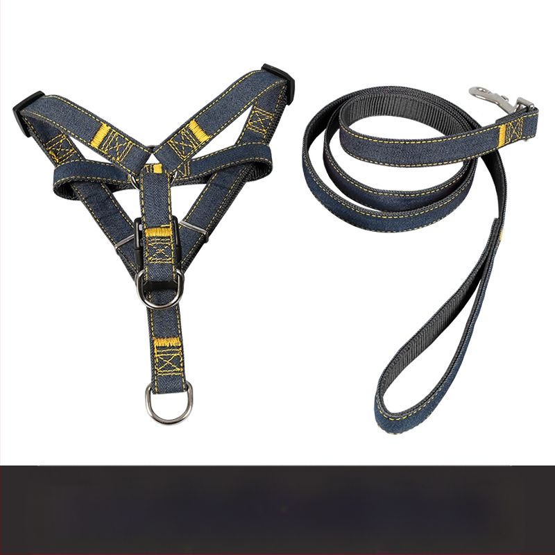 Koerarihm Suurtele Keskmistele Väikestele Koertele Kett Koerakaelarihm Teddy Kuldse Retriiveri Koerale Jalutusnöör Lemmikloomatarbed