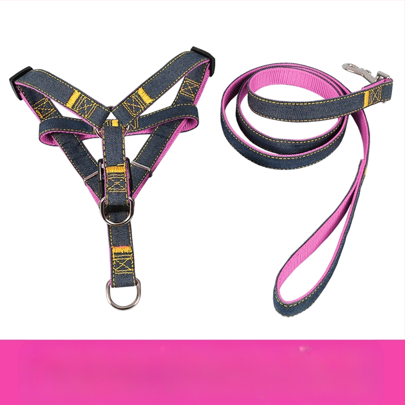 Koerarihm Suurtele Keskmistele Väikestele Koertele Kett Koerakaelarihm Teddy Kuldse Retriiveri Koerale Jalutusnöör Lemmikloomatarbed