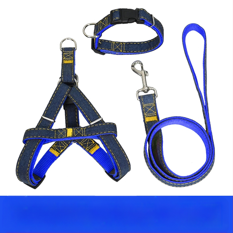 Koerarihm Suurtele Keskmistele Väikestele Koertele Kett Koerakaelarihm Teddy Kuldse Retriiveri Koerale Jalutusnöör Lemmikloomatarbed