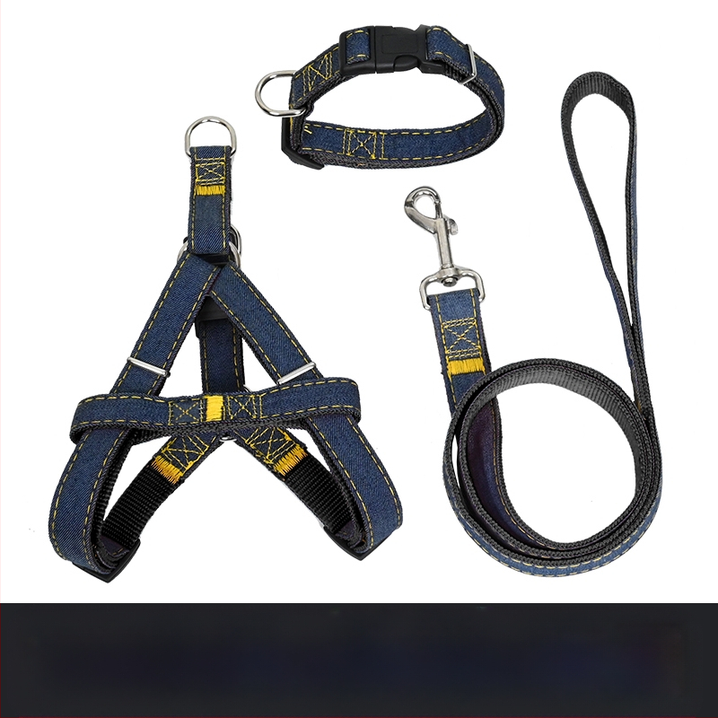 Koerarihm Suurtele Keskmistele Väikestele Koertele Kett Koerakaelarihm Teddy Kuldse Retriiveri Koerale Jalutusnöör Lemmikloomatarbed