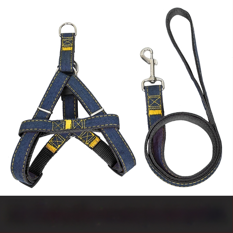 Koerarihm Suurtele Keskmistele Väikestele Koertele Kett Koerakaelarihm Teddy Kuldse Retriiveri Koerale Jalutusnöör Lemmikloomatarbed