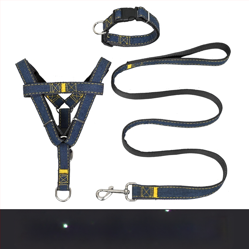 Koerarihm Suurtele Keskmistele Väikestele Koertele Kett Koerakaelarihm Teddy Kuldse Retriiveri Koerale Jalutusnöör Lemmikloomatarbed