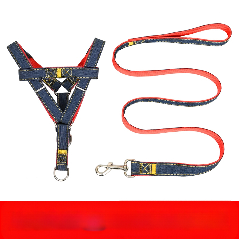 Koerarihm Suurtele Keskmistele Väikestele Koertele Kett Koerakaelarihm Teddy Kuldse Retriiveri Koerale Jalutusnöör Lemmikloomatarbed