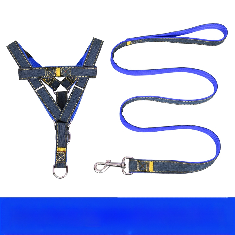 Koerarihm Suurtele Keskmistele Väikestele Koertele Kett Koerakaelarihm Teddy Kuldse Retriiveri Koerale Jalutusnöör Lemmikloomatarbed