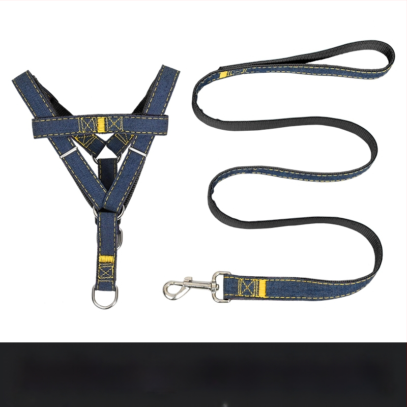 Koerarihm Suurtele Keskmistele Väikestele Koertele Kett Koerakaelarihm Teddy Kuldse Retriiveri Koerale Jalutusnöör Lemmikloomatarbed