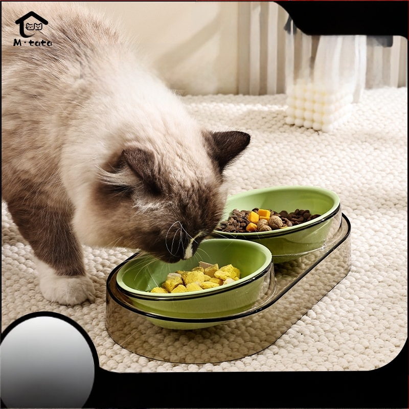 Zdjela za mačke, prozirna zdjela za hranu za mačke, zdjela za hranjenje i piće kućnih ljubimaca, dvostruka zdjela, zdjela za pse, zdjela za jelo otporna na udarce, pribor za kućne ljubimce
