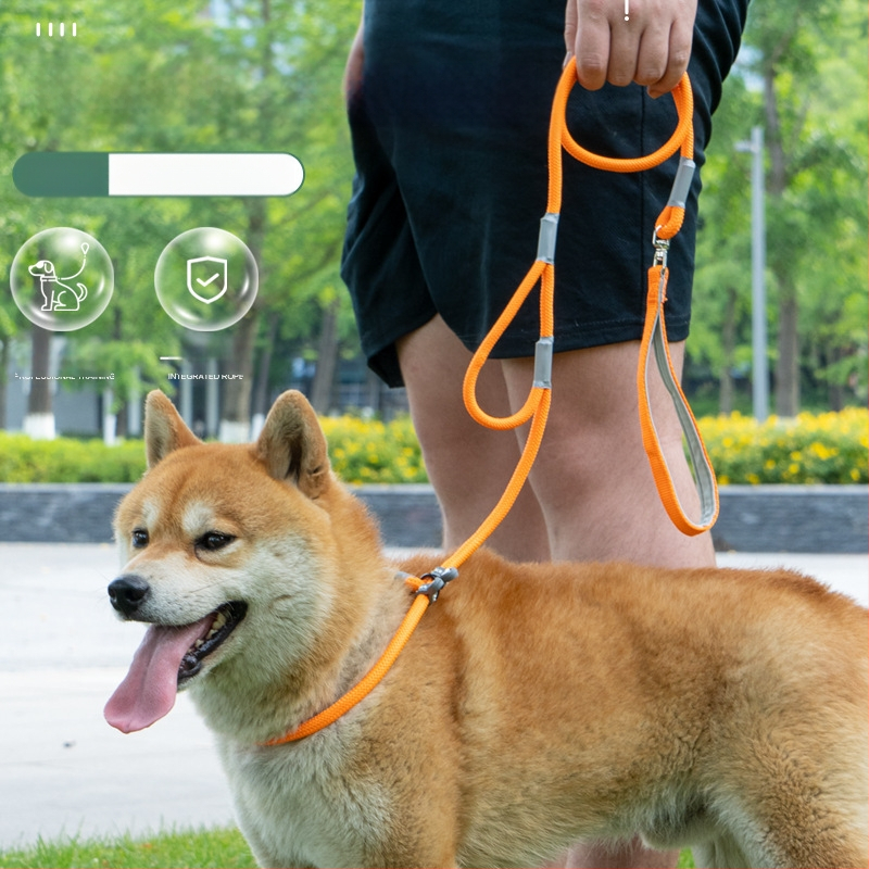 Директни продажби от фабриката на универсална каишка за кучета P-Chain, против експлозия, против откъсване, инструмент за разхождане на кучета, търговия на едро с домашни любимци, преносима