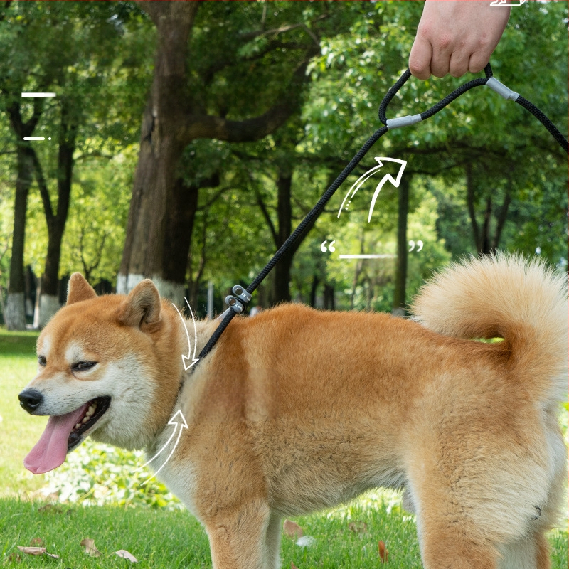 Директни продажби от фабриката на универсална каишка за кучета P-Chain, против експлозия, против откъсване, инструмент за разхождане на кучета, търговия на едро с домашни любимци, преносима