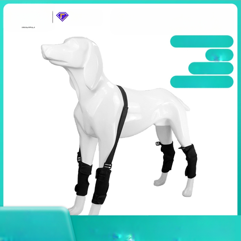 Amazoni uus lemmikloomade põlveliigese katte luumurdude fikseerimise kate vigastatud koerale, reisiabivahend jalakaitsmega, lakkumisvastane jalakate