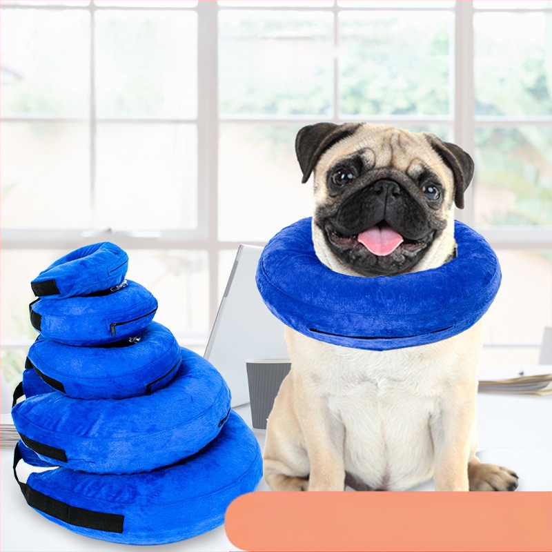 Elizabeth ogrlica za pse ogrlica za pse PVC napuhavajuća ogrlica za kućne ljubimce ogrlica protiv ugriza protiv ogrebotina protiv lizanja ljepota 6