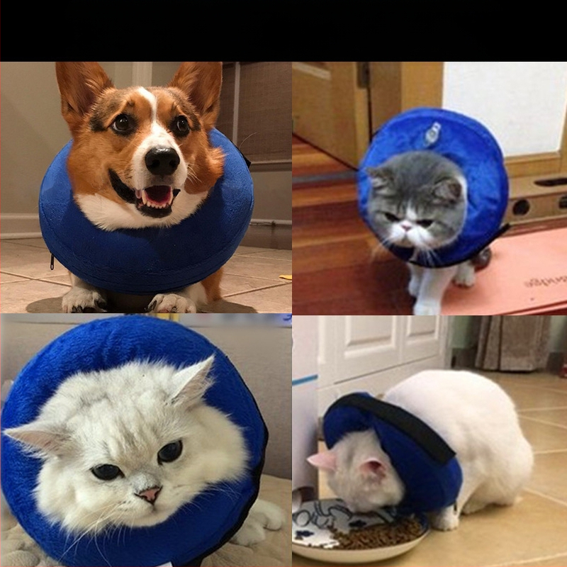 Elizabeth ogrlica za pse ogrlica za pse PVC napuhavajuća ogrlica za kućne ljubimce ogrlica protiv ugriza protiv ogrebotina protiv lizanja ljepota 6