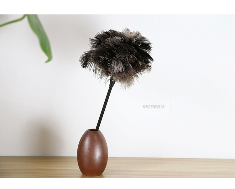 Jaanalinnu sulgedest tolmuhari ei aja karvu majapidamises kasutatava auto paksendava krüpteerimise puhastamiseks majapidamises kasutatava elektrostaatilise adsorptsiooni sulgedest tolmuhari