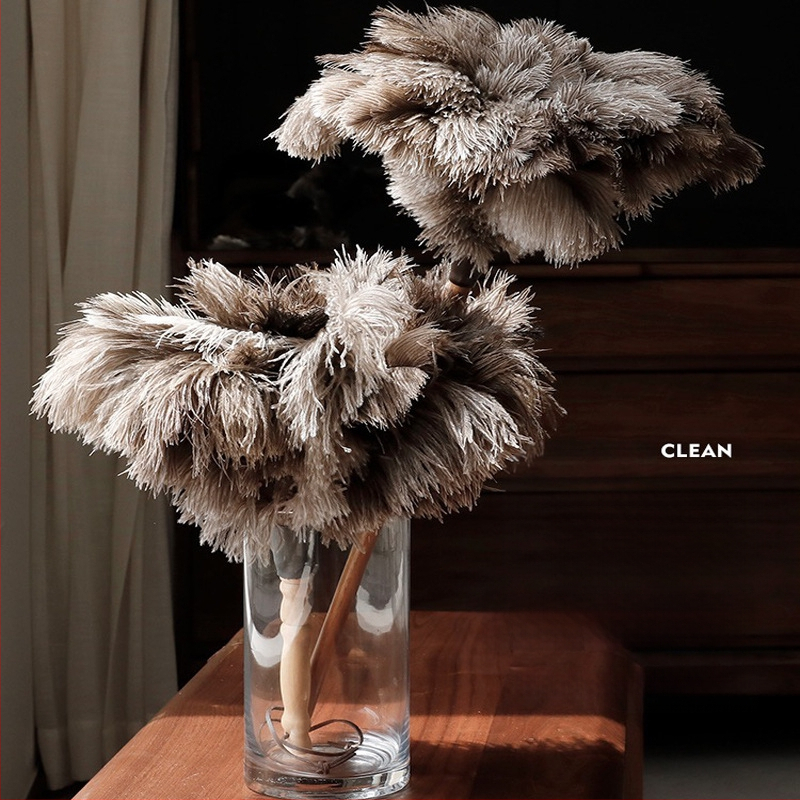 Jaanalinnu sulgedest tolmuhari ei aja karvu majapidamises kasutatava auto paksendava krüpteerimise puhastamiseks majapidamises kasutatava elektrostaatilise adsorptsiooni sulgedest tolmuhari