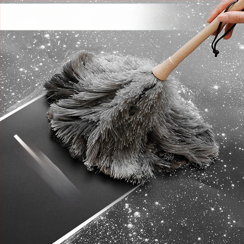 Jaanalinnu sulgedest tolmuhari ei aja karvu majapidamises kasutatava auto paksendava krüpteerimise puhastamiseks majapidamises kasutatava elektrostaatilise adsorptsiooni sulgedest tolmuhari