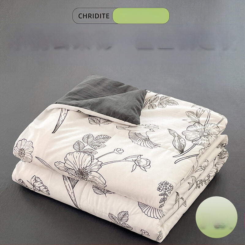 Tehase otsene 2024. aasta uus A-klassi pestud pilvepuuvillast suvine uba suvine jahe konditsioneeriga tekk lastele õpilaste voodipesu