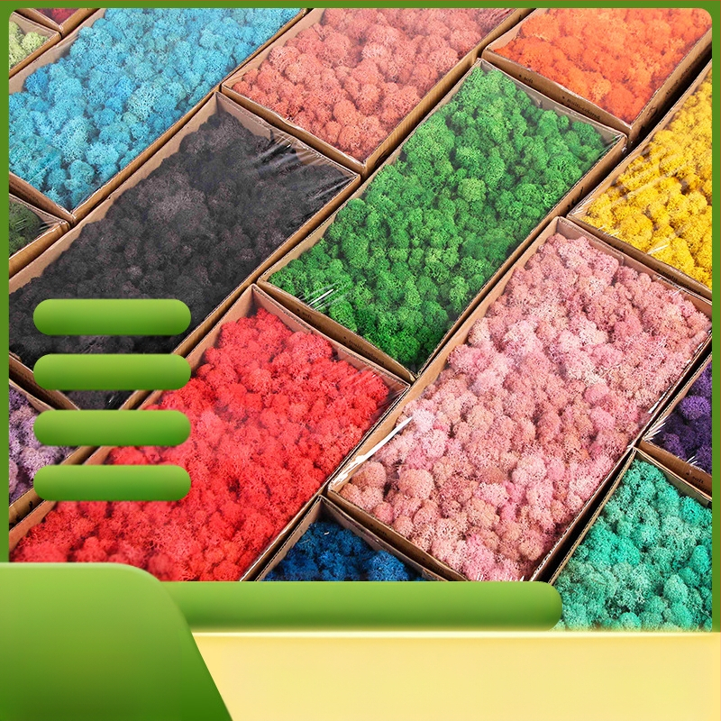 Surematu sammal, kastis olev samblataim, seina haljastus, samblapoe akna sisekujundused, mikromaastik, igavene lill, sammal