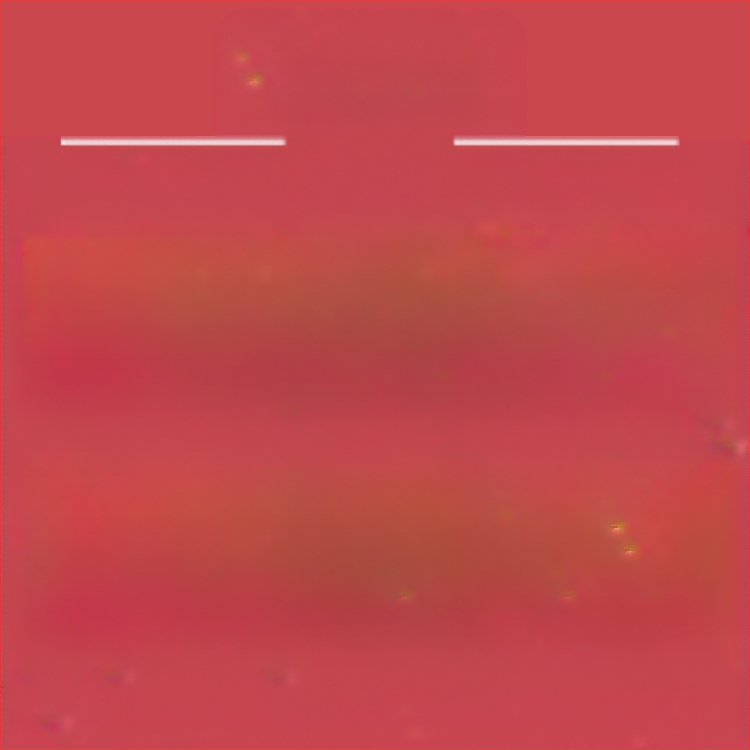 Käekott Naiste õlakott Polüestrist Õpilaste Koolikott Laste Seljakott Pingutusnööriga Taskuga Lemmikloomakott Piiriülene Kuum Müük