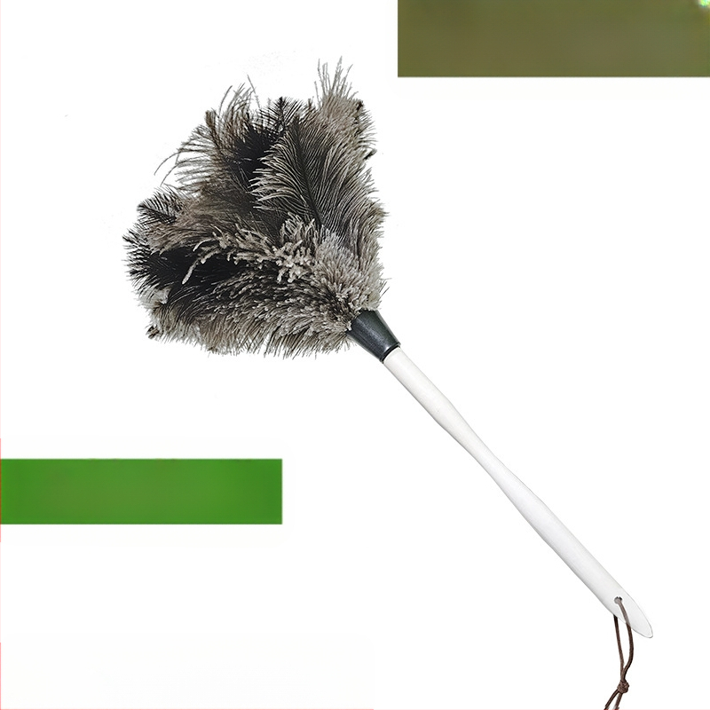 Jaanalinnu sulgedest tolmuhari sulgedest tolmuhari sulgedest tolmuhari täispuidust käepide sulgedest tolmuhari puhastusrekvisiidid