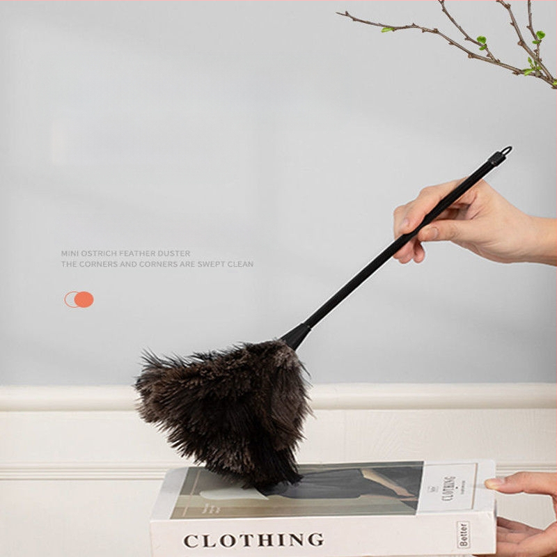 Jaanalinnu sulgedest tolmuhari sulgedest tolmuhari sulgedest tolmuhari täispuidust käepide sulgedest tolmuhari puhastusrekvisiidid