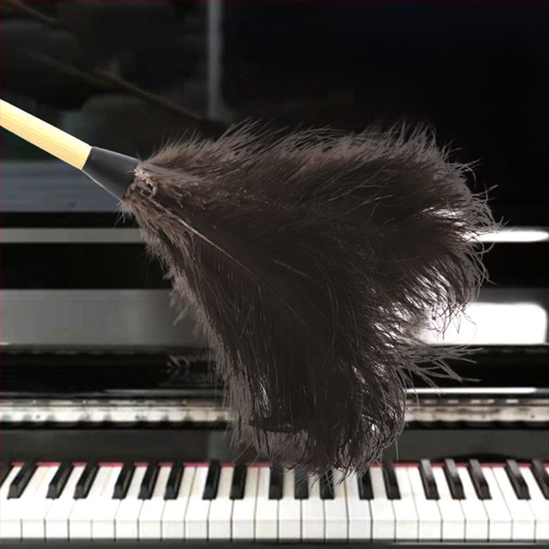 Jaanalinnu sulgedest tolmuhari sulgedest tolmuhari sulgedest tolmuhari täispuidust käepide sulgedest tolmuhari puhastusrekvisiidid