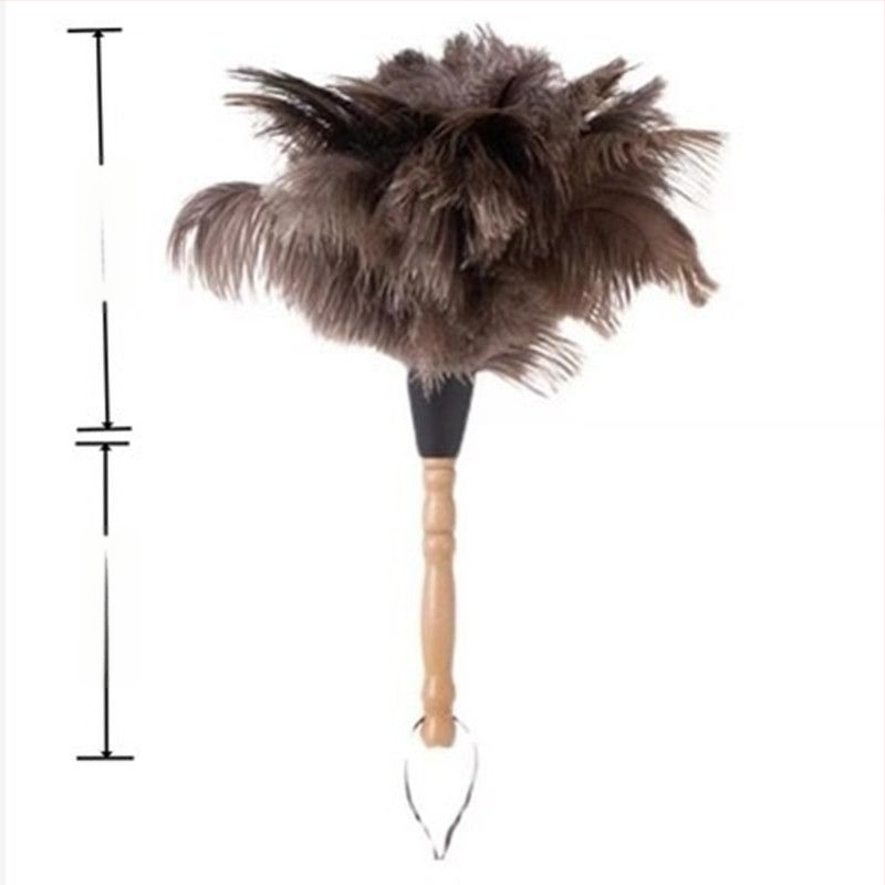 Jaanalinnu sulgedest tolmuhari sulgedest tolmuhari sulgedest tolmuhari täispuidust käepide sulgedest tolmuhari puhastusrekvisiidid