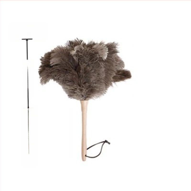 Jaanalinnu sulgedest tolmuhari sulgedest tolmuhari sulgedest tolmuhari täispuidust käepide sulgedest tolmuhari puhastusrekvisiidid