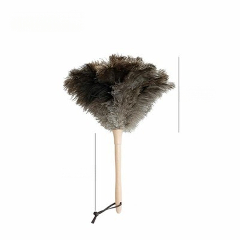 Jaanalinnu sulgedest tolmuhari sulgedest tolmuhari sulgedest tolmuhari täispuidust käepide sulgedest tolmuhari puhastusrekvisiidid