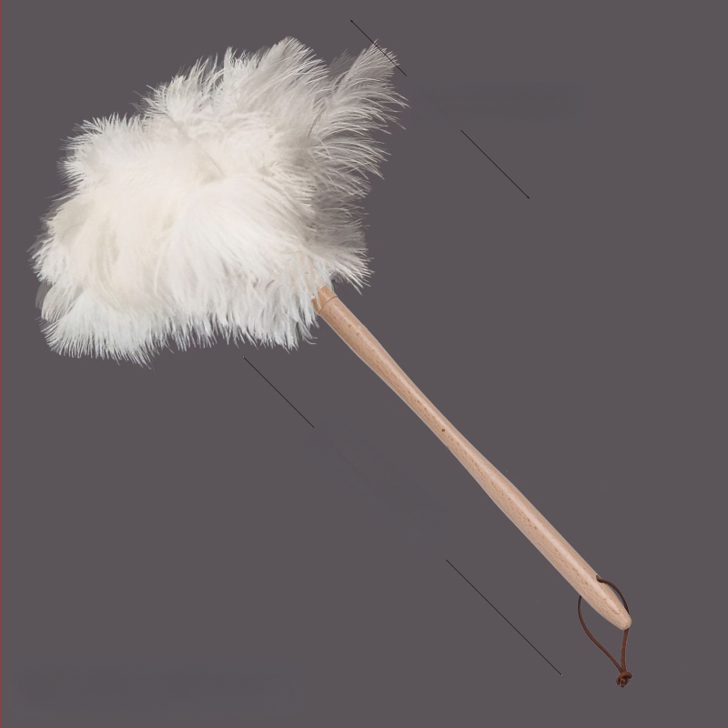 Jaanalinnu sulgedest tolmuhari sulgedest tolmuhari sulgedest tolmuhari täispuidust käepide sulgedest tolmuhari puhastusrekvisiidid