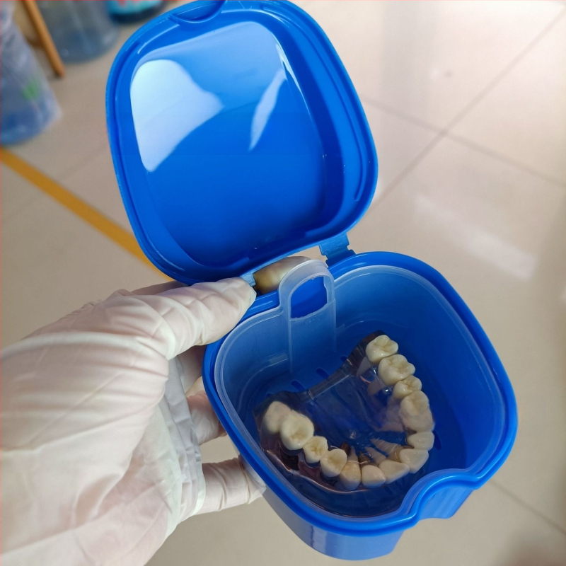 Zobu protēžu ievietošanas kaste Pilna zobu protēžu kaste Zobu protēžu kaste Pilna zobu protēžu kaste Zobu protēžu kaste Zobu protēžu kaste ar tīkliņu Zobu protēžu kaste Ābolu zobu protēžu kaste 53