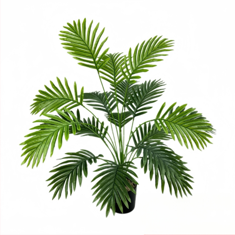 Tarpvalstybinis karšto išpardavimo modeliavimas žalias sodinimas saulėgrąžų netikras medis geležinis lapas patalpų svetainė vazoninis augalas kraštovaizdžio dekoratyvinis bonsai