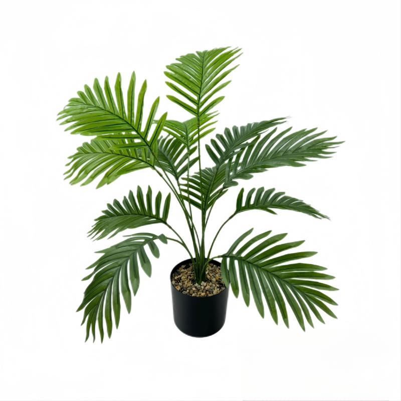 Tarpvalstybinis karšto išpardavimo modeliavimas žalias sodinimas saulėgrąžų netikras medis geležinis lapas patalpų svetainė vazoninis augalas kraštovaizdžio dekoratyvinis bonsai