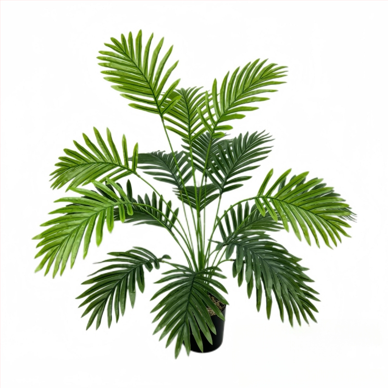 Tarpvalstybinis karšto išpardavimo modeliavimas žalias sodinimas saulėgrąžų netikras medis geležinis lapas patalpų svetainė vazoninis augalas kraštovaizdžio dekoratyvinis bonsai