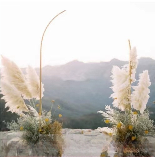 Tarpvalstybinės „Amazon“ vestuvių formos arkos vakarėlio baliono arkos laikiklis, įstrižas arkos laikiklis, kelio švinas