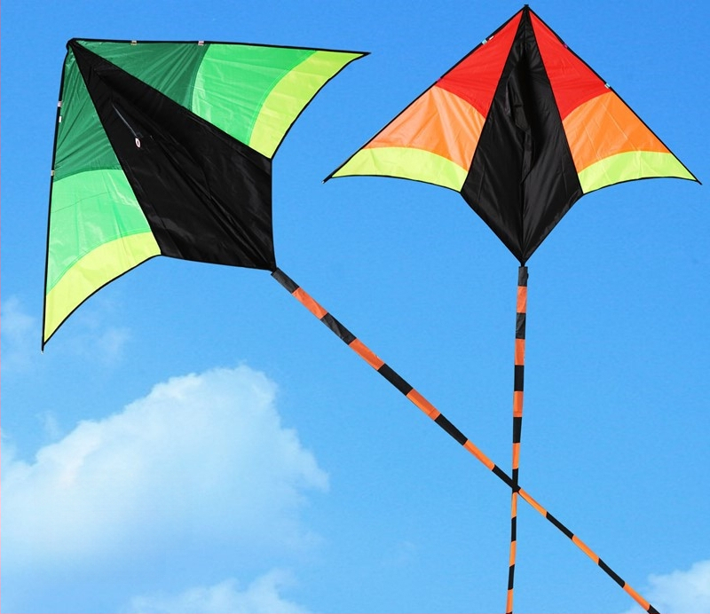 Veifangas pūķu ārējā tirdzniecība Amazon Eagle pūķu brīze viegli lidojošs koi pūķis Veifangas vairumtirdzniecības ražotājs