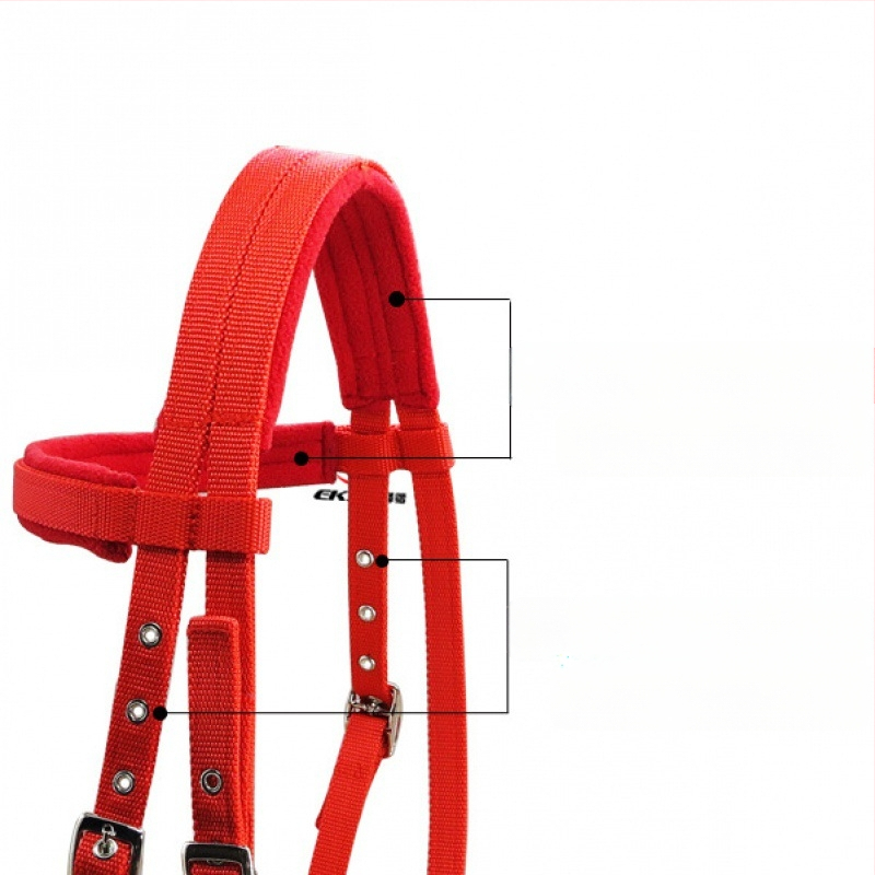 20 mm laiune PP rihm, veekindlad valjad, valjaste pea, valge nikeldatud hobuse närimisrihm käsnaga LT5000