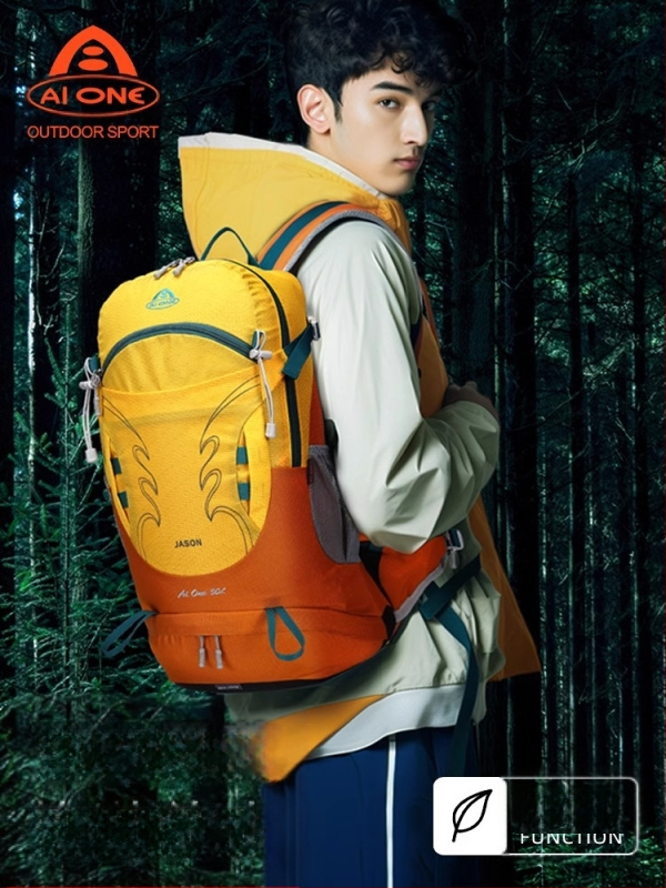 Aiwangi õues ronimiseks mõeldud kott, millel on riputatud seljaosa, veekindel meeste ja naiste telkimis-, matka- ja jalgrattasõidu seljakott 30L